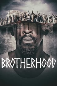 Brotherhood English  subtitles - SUBDL poster