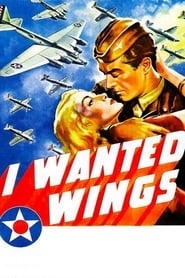 I Wanted Wings Spanish  subtitles - SUBDL poster