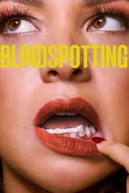 Blindspotting (2021) subtitles - SUBDL poster