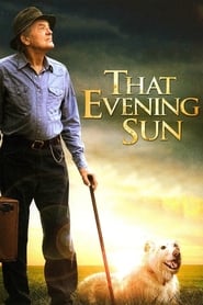 That Evening Sun (2009) subtitles - SUBDL poster