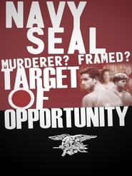 Navy SEAL: Murderer? Framed? Target of Opportunity? (2015) subtitles - SUBDL poster