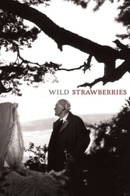 Wild Strawberries (Smultronstället)