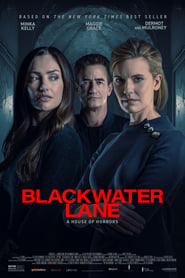 Blackwater Lane English  subtitles - SUBDL poster
