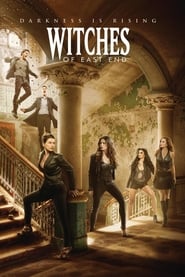 Witches of East End (2013) subtitles - SUBDL poster