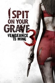 I Spit on Your Grave III: Vengeance is Mine Finnish  subtitles - SUBDL poster