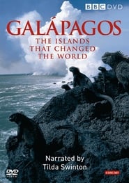Galapagos English  subtitles - SUBDL poster