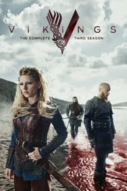 Vikings Turkish  subtitles - SUBDL poster