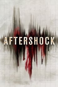 Aftershock Italian  subtitles - SUBDL poster
