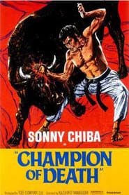 Karate Bullfighter (1975) subtitles - SUBDL poster