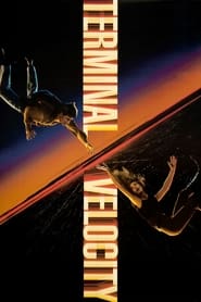 Terminal Velocity French  subtitles - SUBDL poster