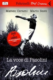 La voce di Pasolini (2006) subtitles - SUBDL poster