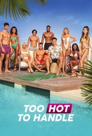 Too Hot to Handle (2020) subtitles - SUBDL poster