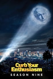 Curb Your Enthusiasm English  subtitles - SUBDL poster