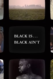 Black Is … Black Ain’t (1994) subtitles - SUBDL poster