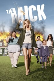 The Mick (2017) subtitles - SUBDL poster