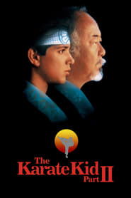 The Karate Kid Part II (1986) subtitles