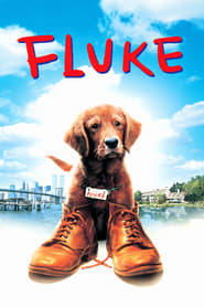 Fluke (1995) subtitles - SUBDL poster