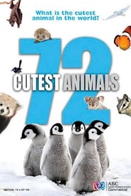 72 Cutest Animals