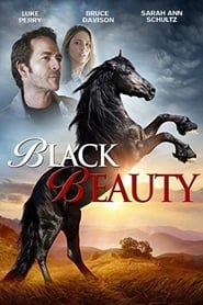 Black Beauty (2015) subtitles - SUBDL poster