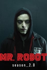 Mr. Robot Danish  subtitles - SUBDL poster