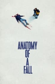 Anatomy of a Fall English  subtitles - SUBDL poster