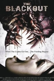 The Blackout (2009) subtitles - SUBDL poster