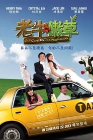 Old Cow Vs Tender Grass (2010) subtitles