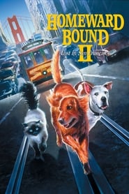 Homeward Bound II: Lost in San Francisco (1996) subtitles