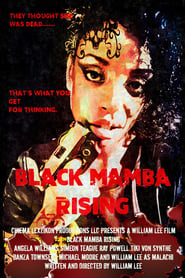 Black Mamba (2018) subtitles - SUBDL poster