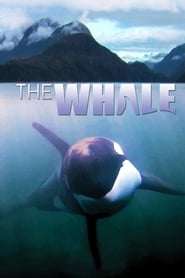 The Whale (2011) subtitles - SUBDL poster