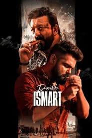 Double iSmart (2024) subtitles