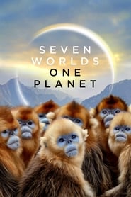 Seven Worlds, One Planet (2019) subtitles - SUBDL poster