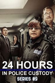 24 Hours in Police Custody (2014) subtitles - SUBDL poster