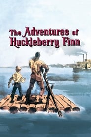 The Adventures of Huckleberry Finn French  subtitles - SUBDL poster