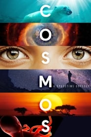 Cosmos Finnish  subtitles - SUBDL poster