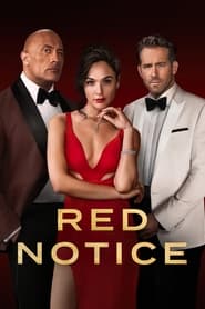 Red Notice Spanish  subtitles - SUBDL poster