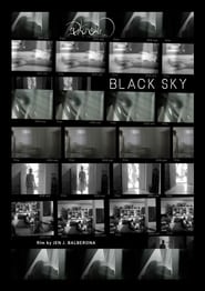 Black Sky (2020) subtitles - SUBDL poster
