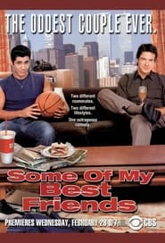 Some of My Best Friends (2001) subtitles - SUBDL poster