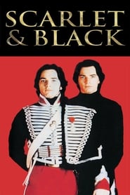 The Scarlet and the Black (1993) subtitles - SUBDL poster