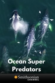 Ocean Super Predators (2021) subtitles