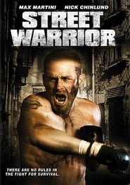 Street Warrior Romanian  subtitles - SUBDL poster