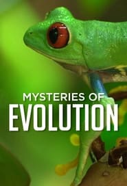 Mysteries of Evolution