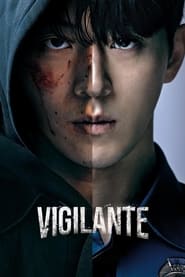 Vigilante French  subtitles - SUBDL poster