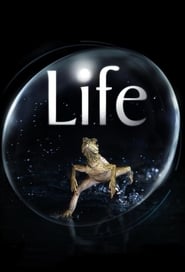 Life (2009) subtitles - SUBDL poster