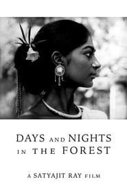 Days and Nights in the Forest (1970) subtitles