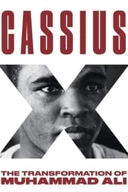 Cassius X: Becoming Ali English  subtitles - SUBDL poster