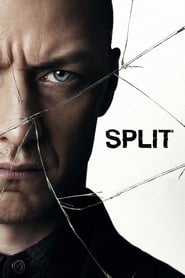 Split (2017) subtitles - SUBDL poster