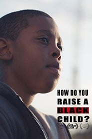 How Do You Raise a Black Child? (2016) subtitles - SUBDL poster