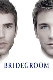 Bridegroom English  subtitles - SUBDL poster