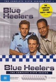 Blue Heelers